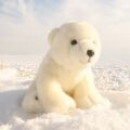 Rappa Plush polar bear 28 cm ECO-FRIENDLY